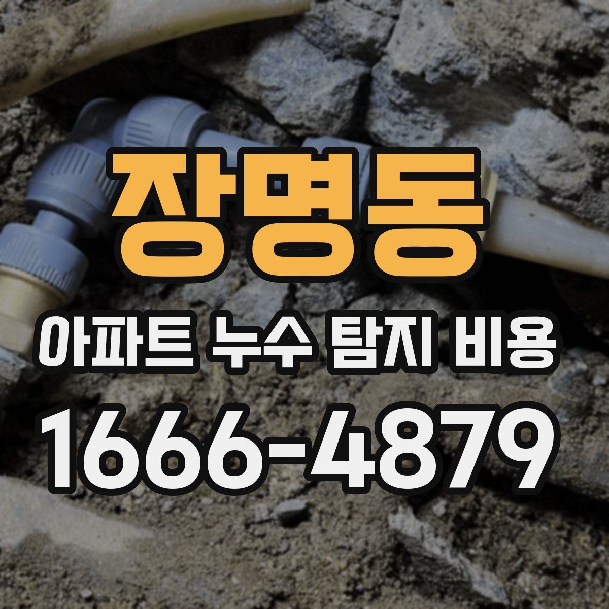 장명동 아파트 누수 탐지 비용