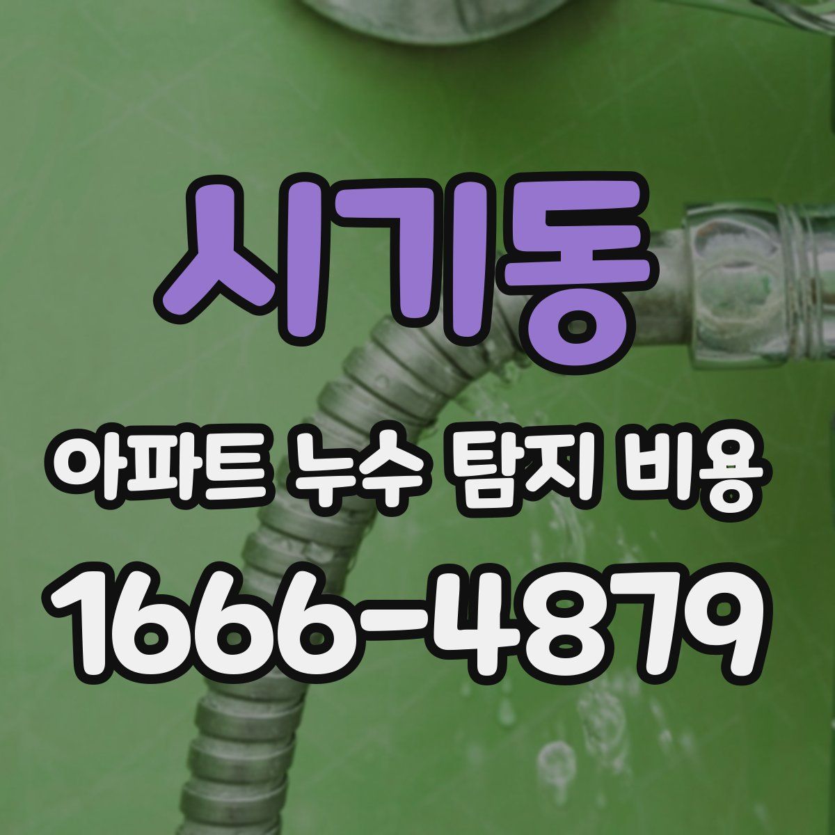 시기동 아파트 누수 탐지 비용