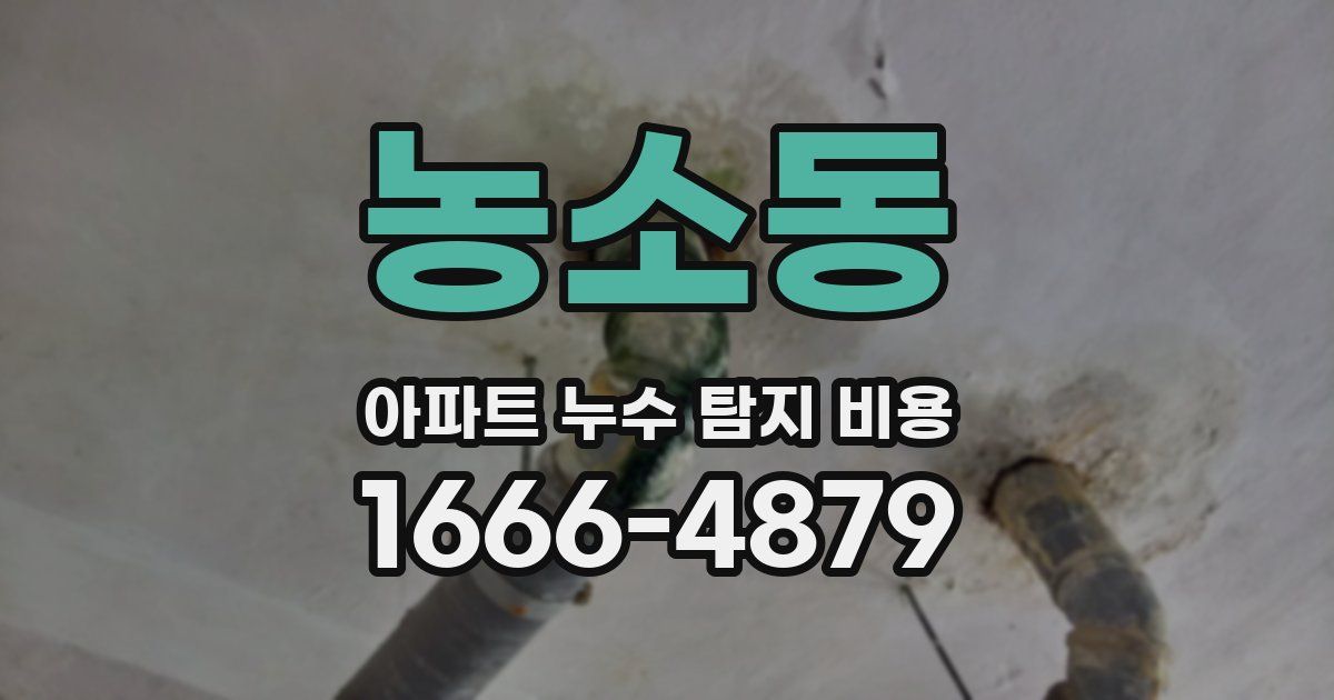 농소동 아파트 누수 탐지 비용