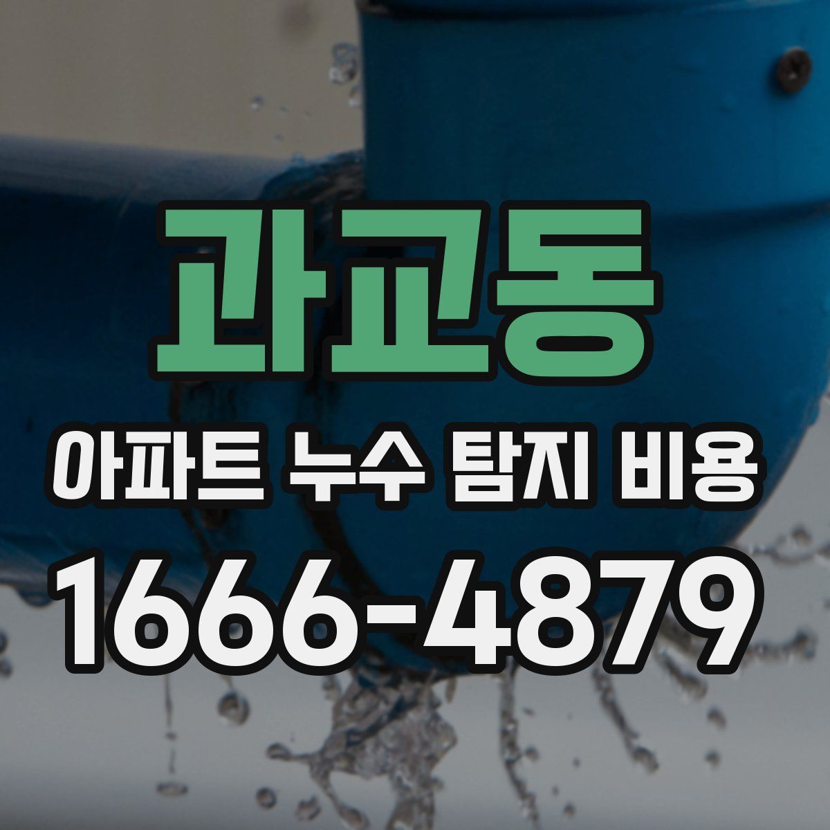 과교동 아파트 누수 탐지 비용
