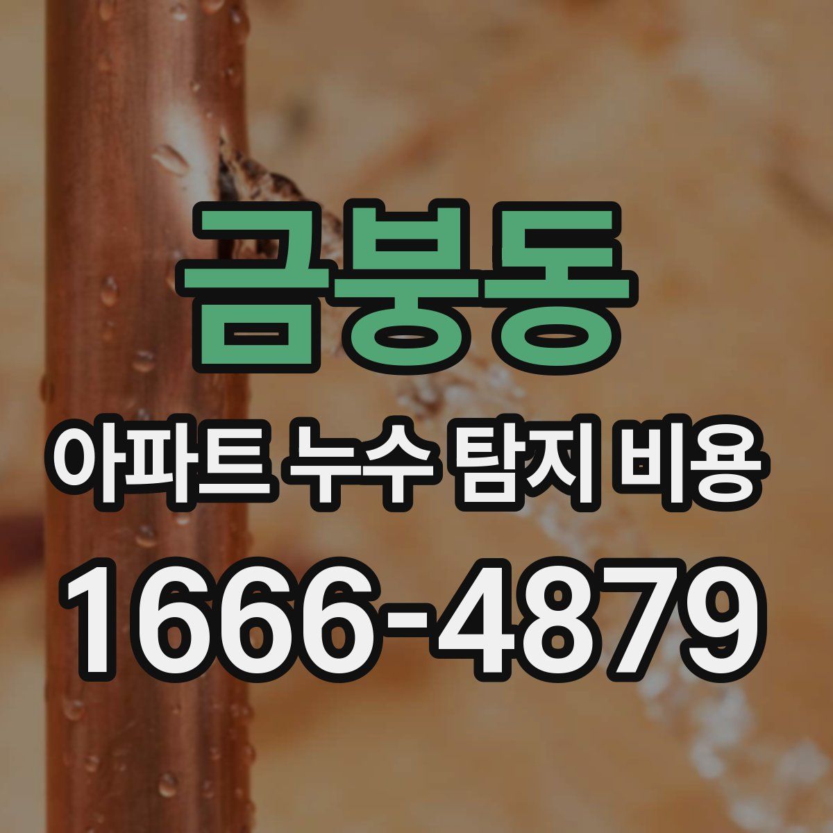 금붕동 아파트 누수 탐지 비용