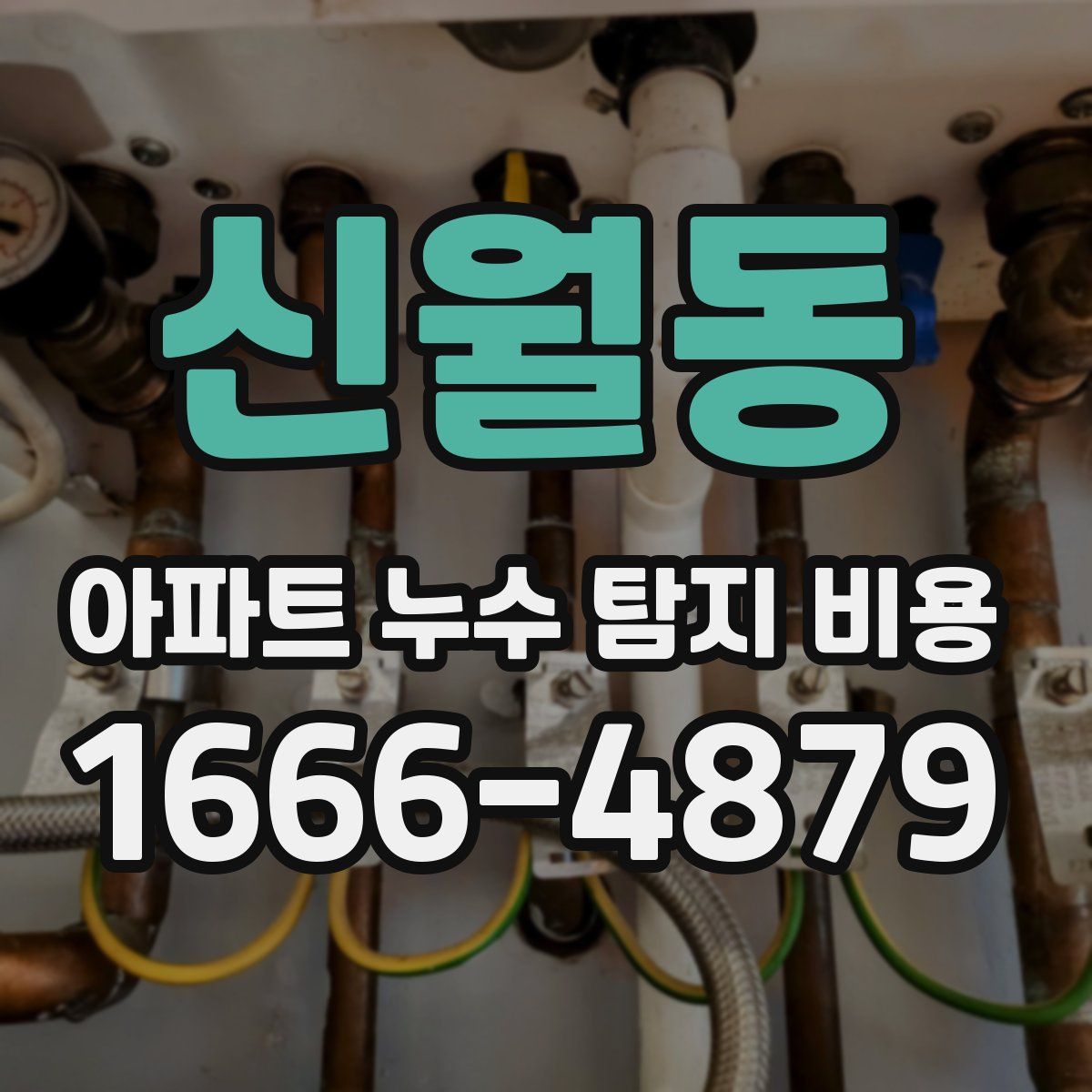 신월동 아파트 누수 탐지 비용