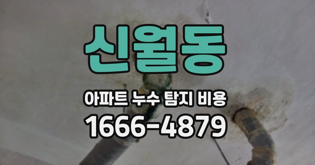 신월동 아파트 누수 탐지 비용