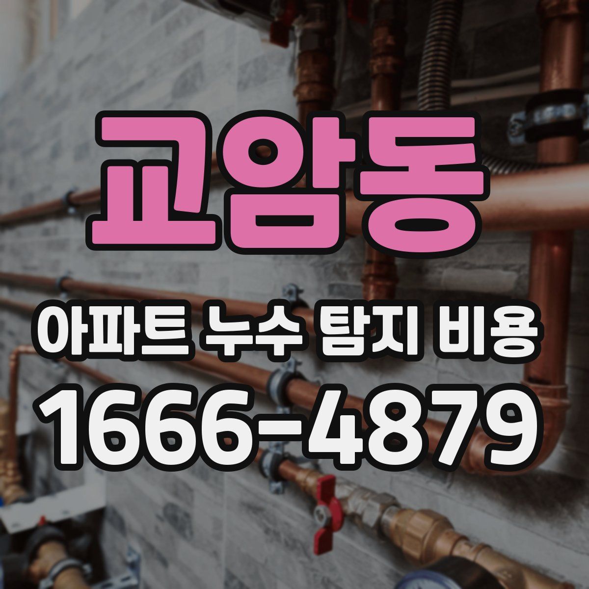 교암동 아파트 누수 탐지 비용