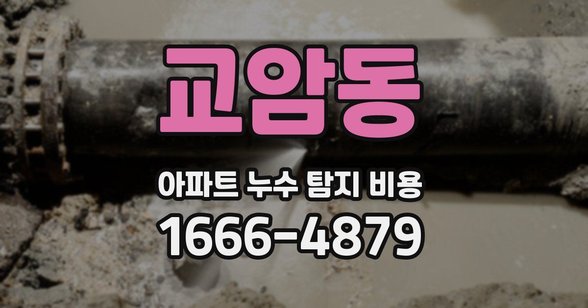 교암동 아파트 누수 탐지 비용