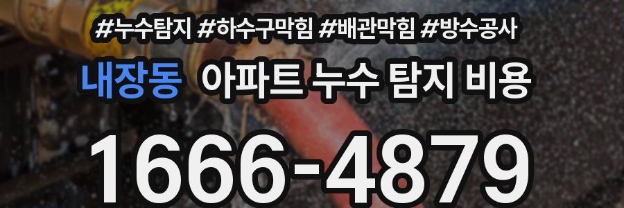 내장동 아파트 누수 탐지 비용