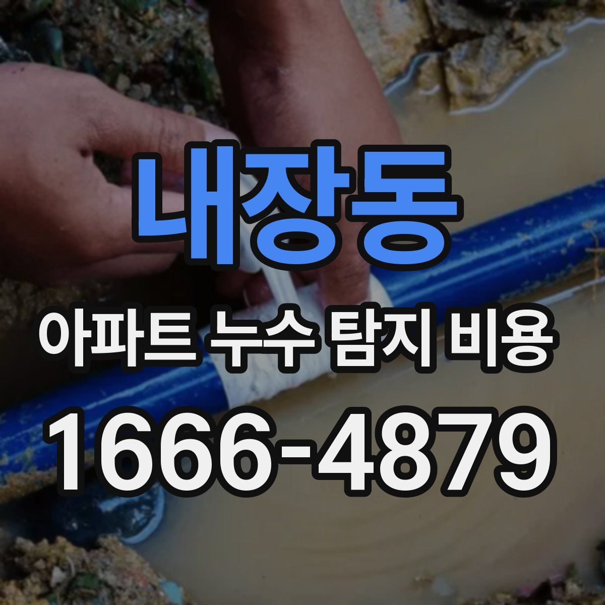 내장동 아파트 누수 탐지 비용