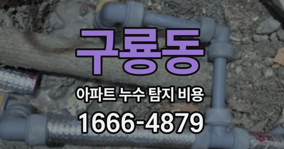 구룡동 아파트 누수 탐지 비용