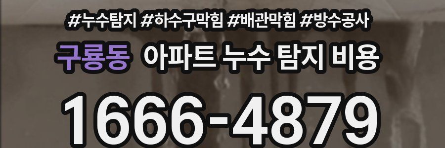 구룡동 아파트 누수 탐지 비용