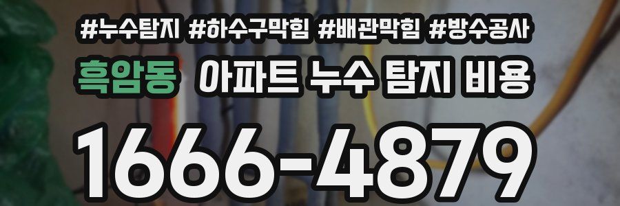 흑암동 아파트 누수 탐지 비용