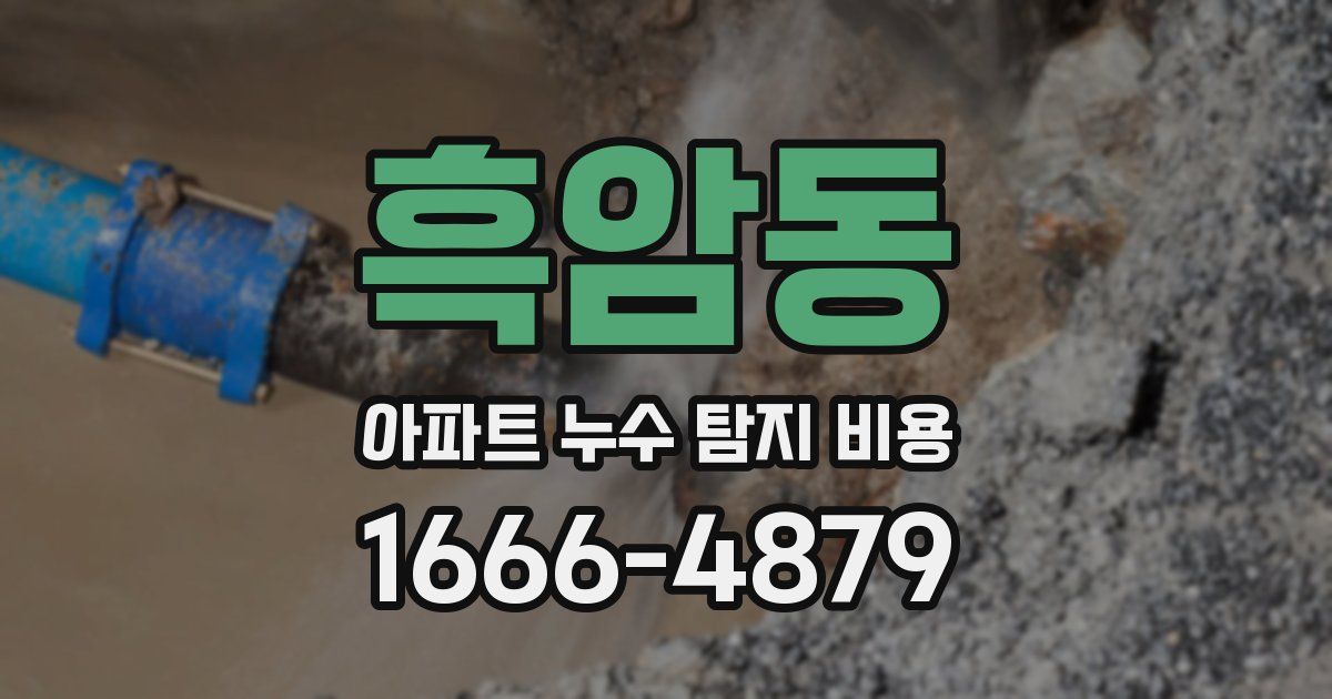 흑암동 아파트 누수 탐지 비용