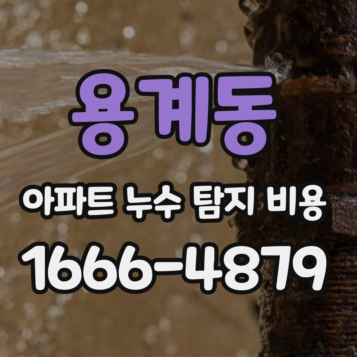 용계동 아파트 누수 탐지 비용