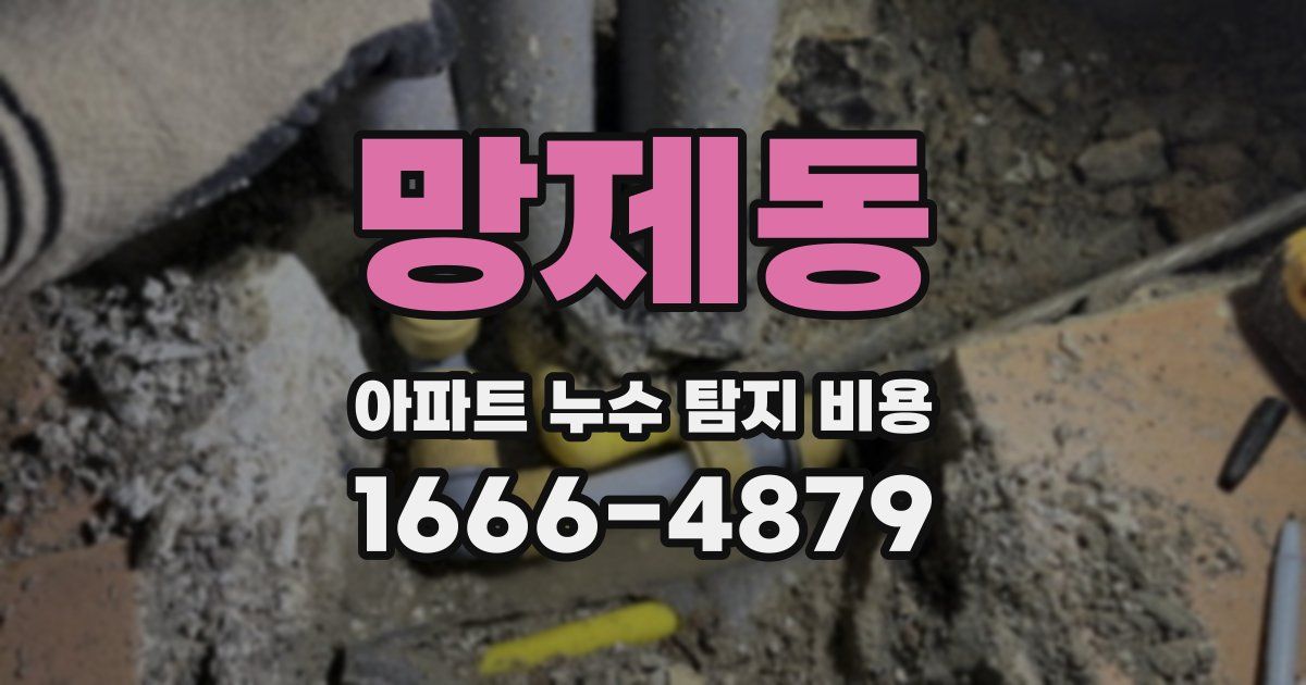 망제동 아파트 누수 탐지 비용