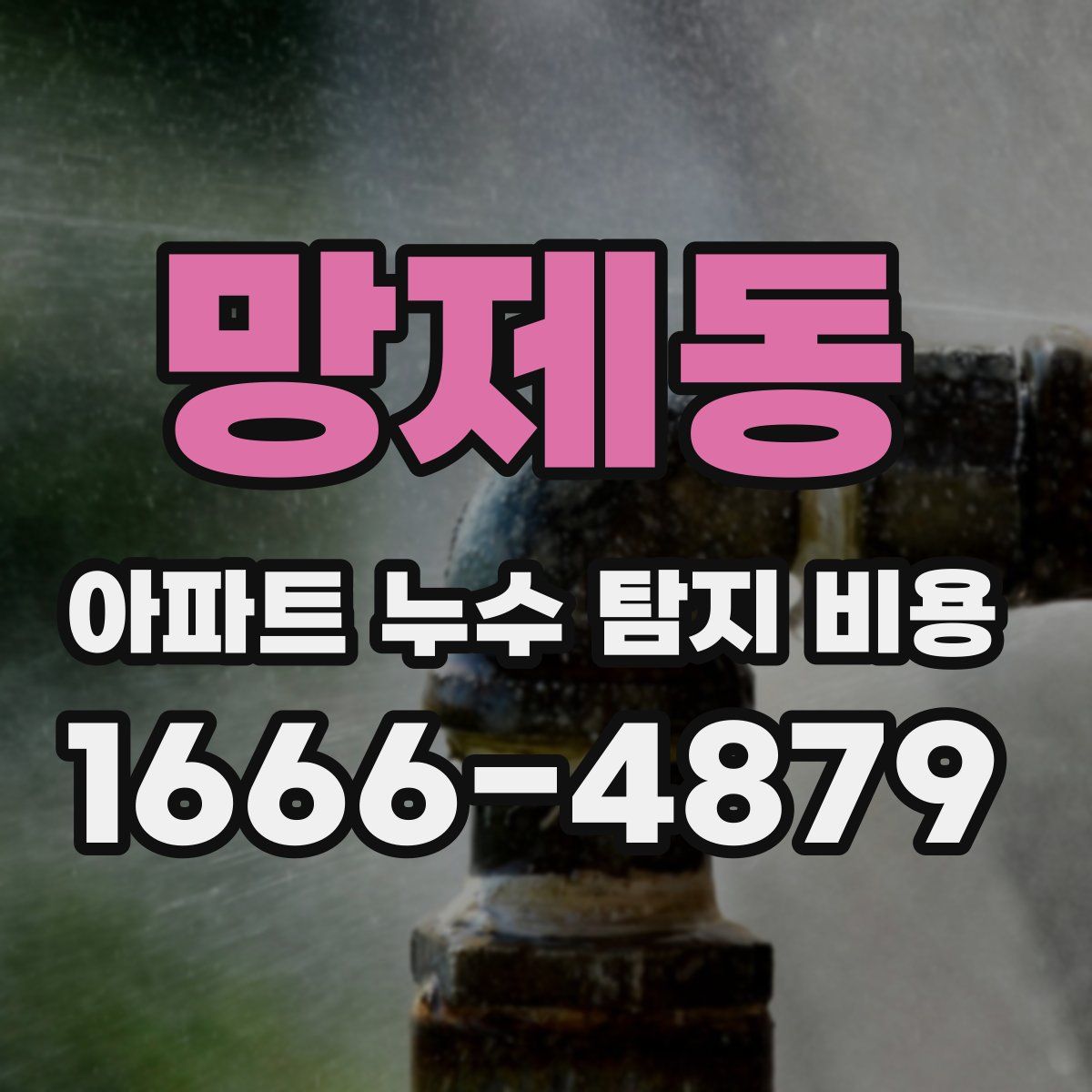 망제동 아파트 누수 탐지 비용