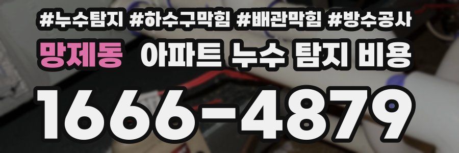 망제동 아파트 누수 탐지 비용