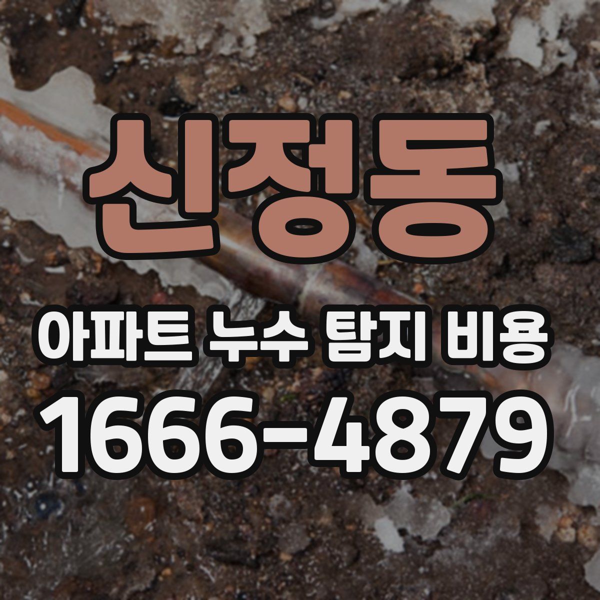 신정동 아파트 누수 탐지 비용