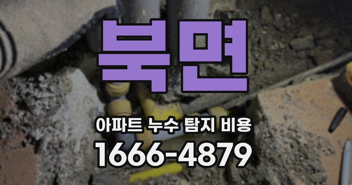 북면 아파트 누수 탐지 비용