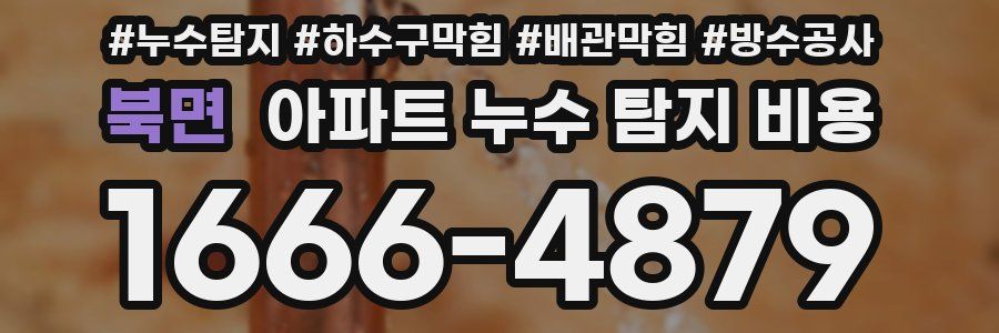 북면 아파트 누수 탐지 비용