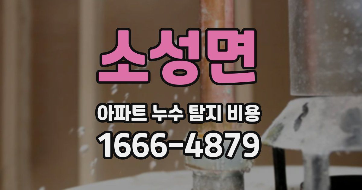 소성면 아파트 누수 탐지 비용