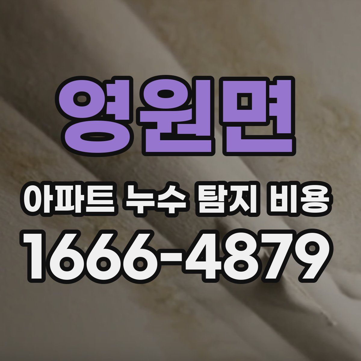 영원면 아파트 누수 탐지 비용