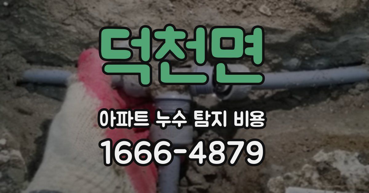 덕천면 아파트 누수 탐지 비용