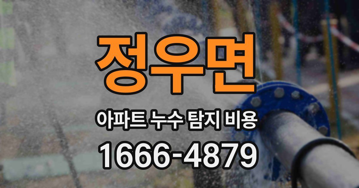 정우면 아파트 누수 탐지 비용