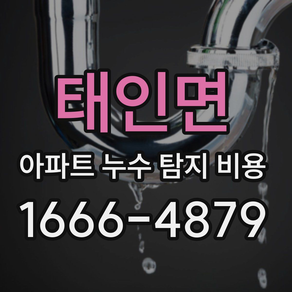 태인면 아파트 누수 탐지 비용