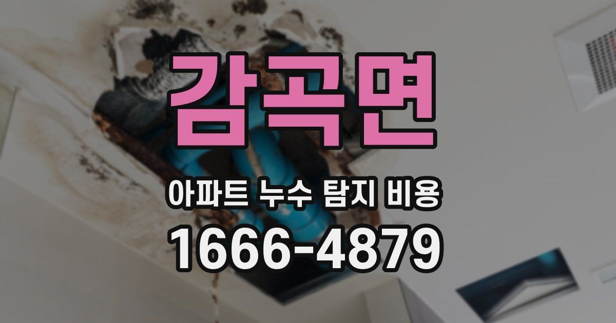 감곡면 아파트 누수 탐지 비용