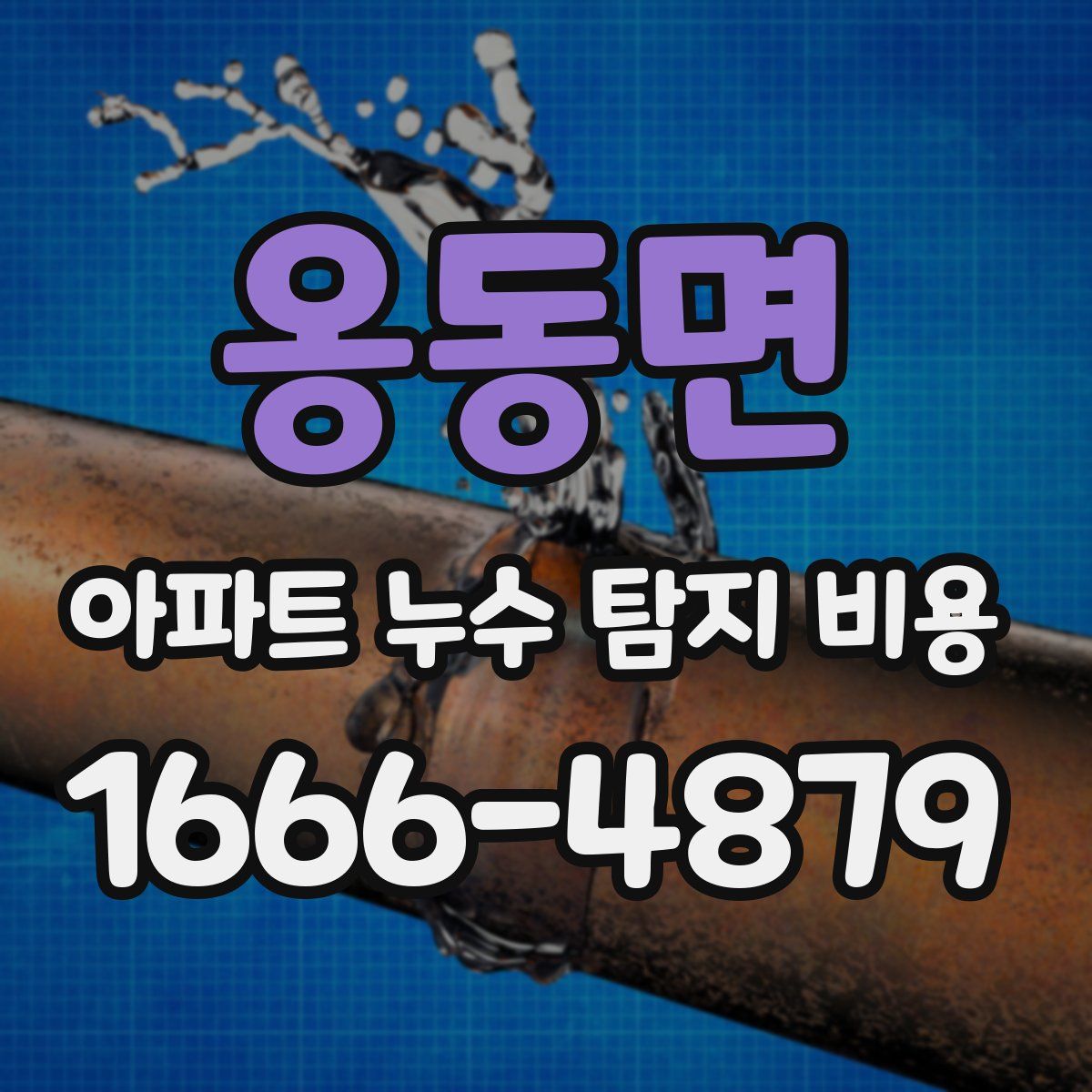 옹동면 아파트 누수 탐지 비용