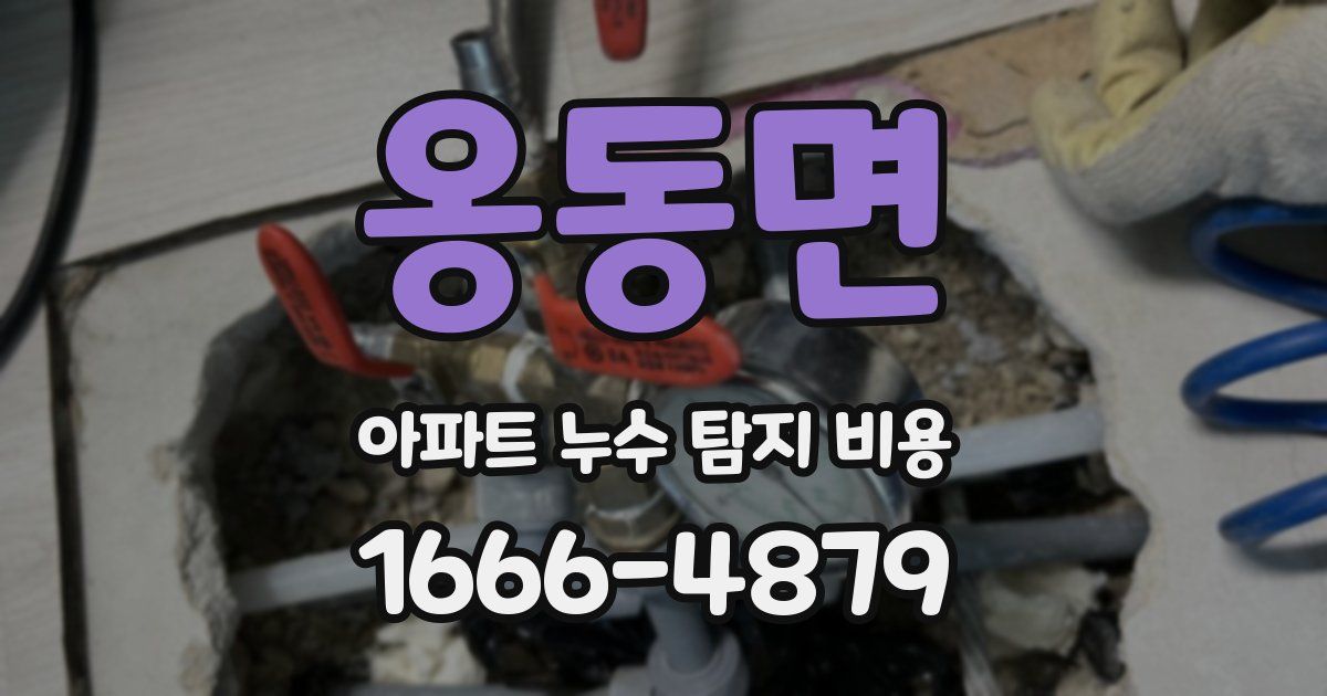 옹동면 아파트 누수 탐지 비용