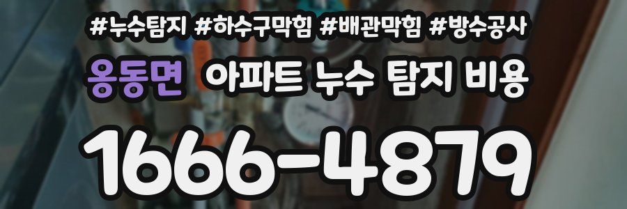 옹동면 아파트 누수 탐지 비용
