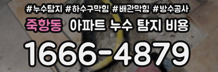 죽항동 아파트 누수 탐지 비용