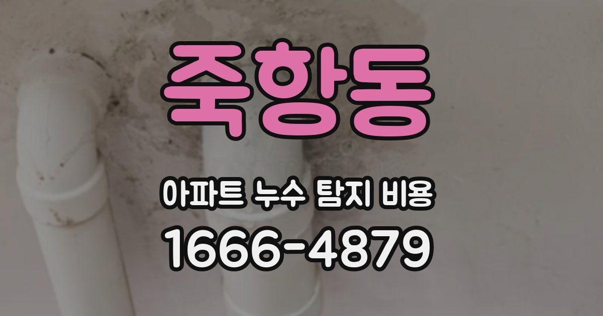 죽항동 아파트 누수 탐지 비용