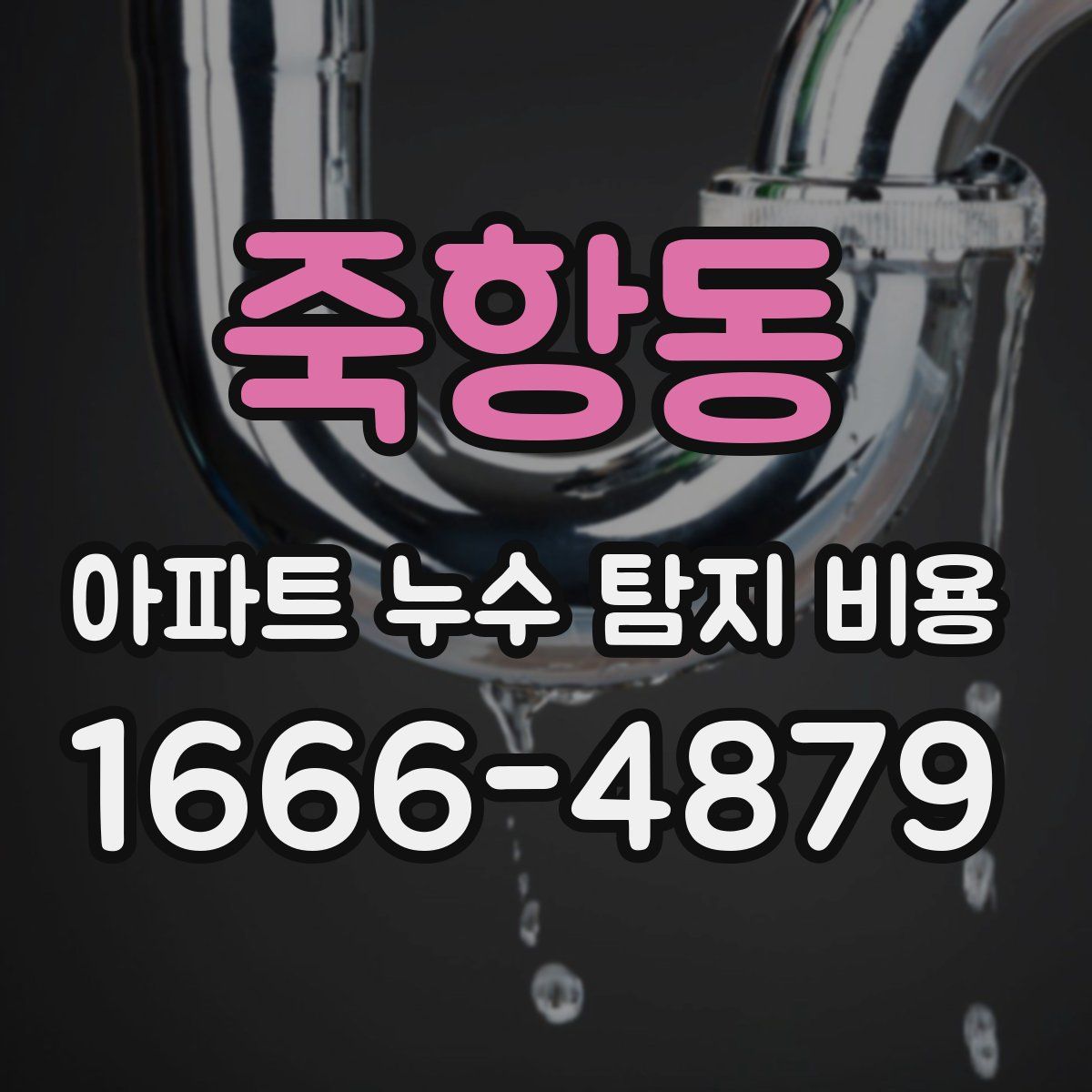 죽항동 아파트 누수 탐지 비용