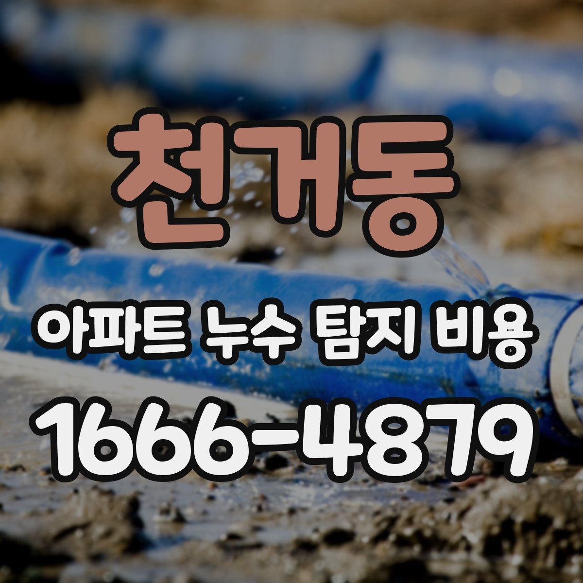 천거동 아파트 누수 탐지 비용