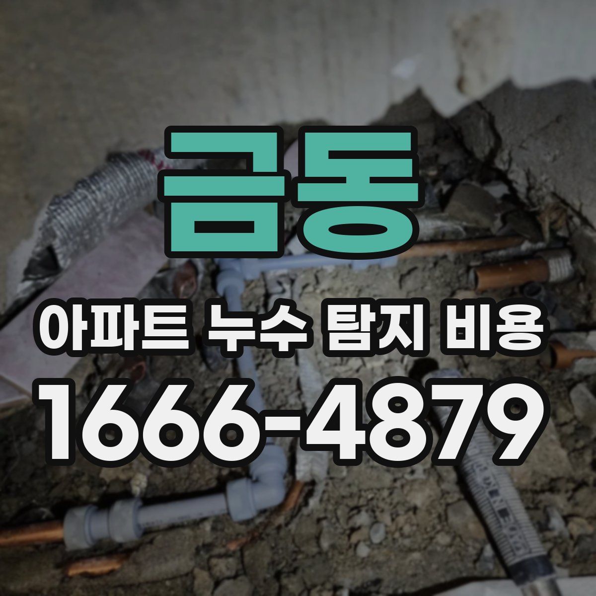 금동 아파트 누수 탐지 비용