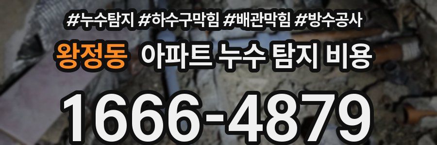 왕정동 아파트 누수 탐지 비용