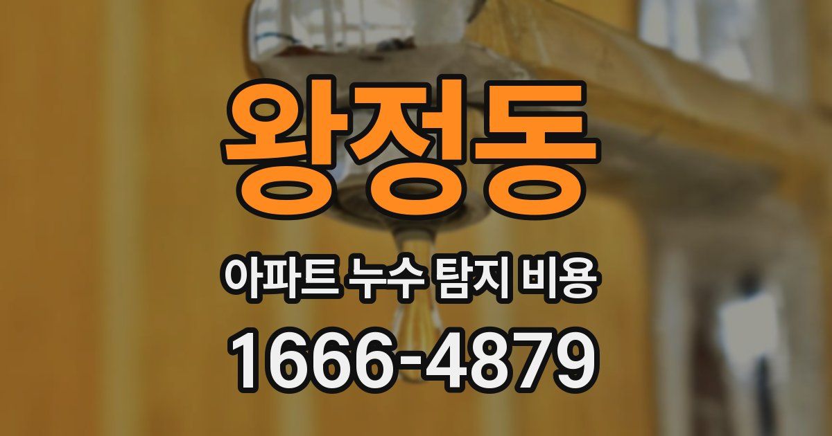 왕정동 아파트 누수 탐지 비용
