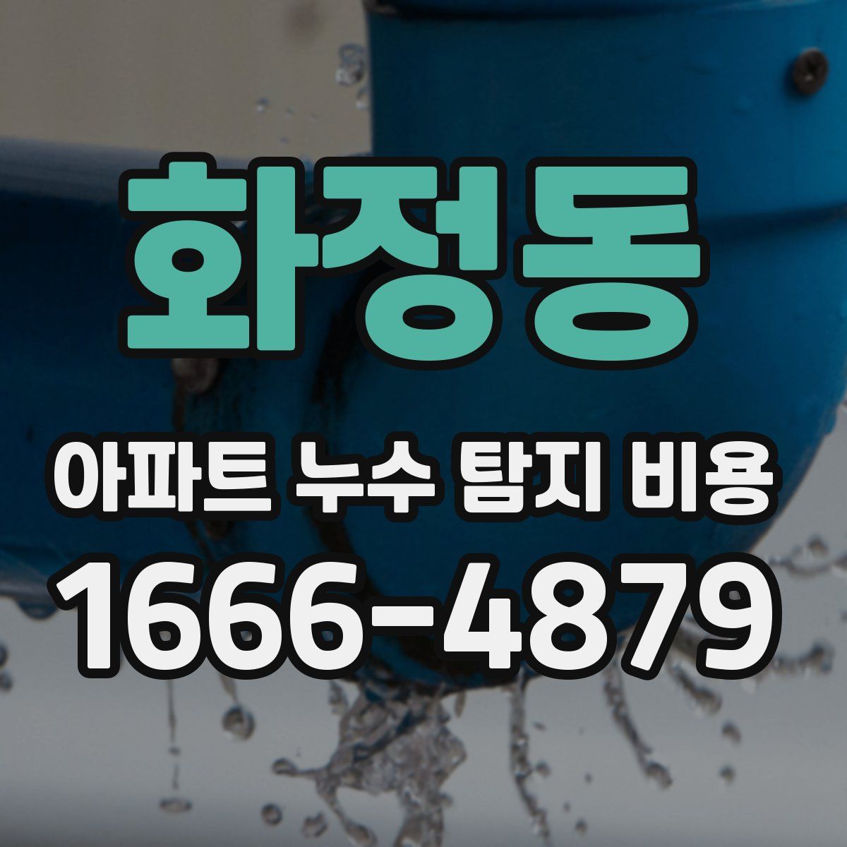 화정동 아파트 누수 탐지 비용