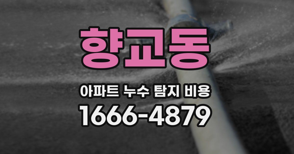 향교동 아파트 누수 탐지 비용