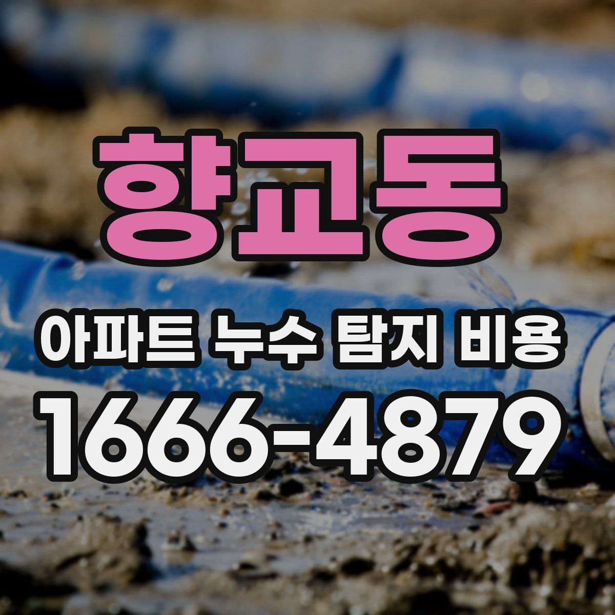 향교동 아파트 누수 탐지 비용