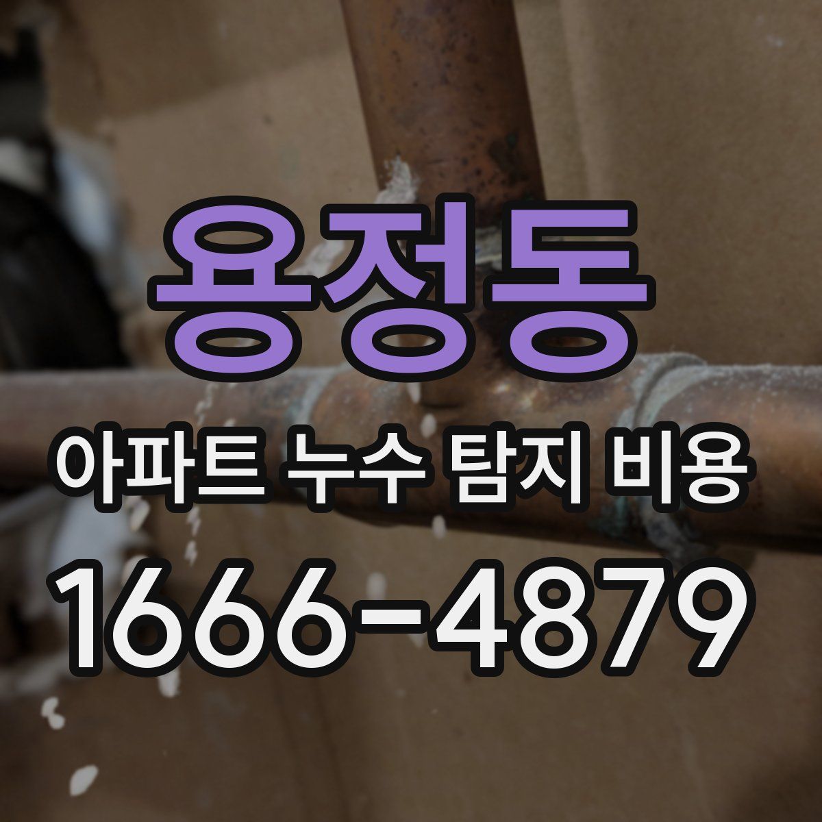 용정동 아파트 누수 탐지 비용