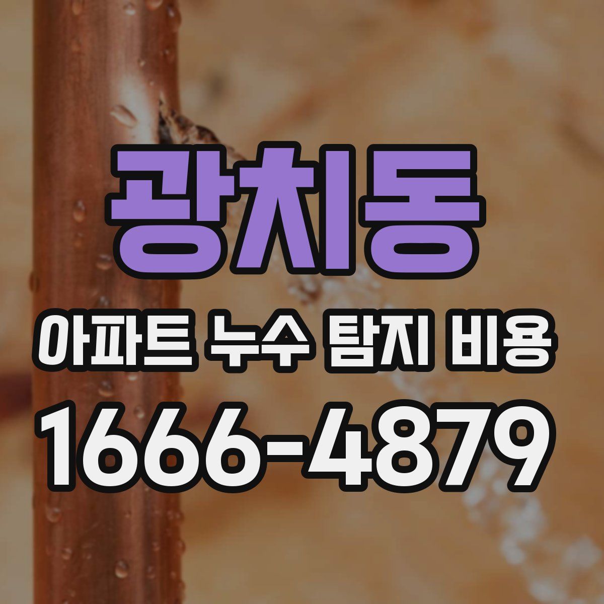 광치동 아파트 누수 탐지 비용
