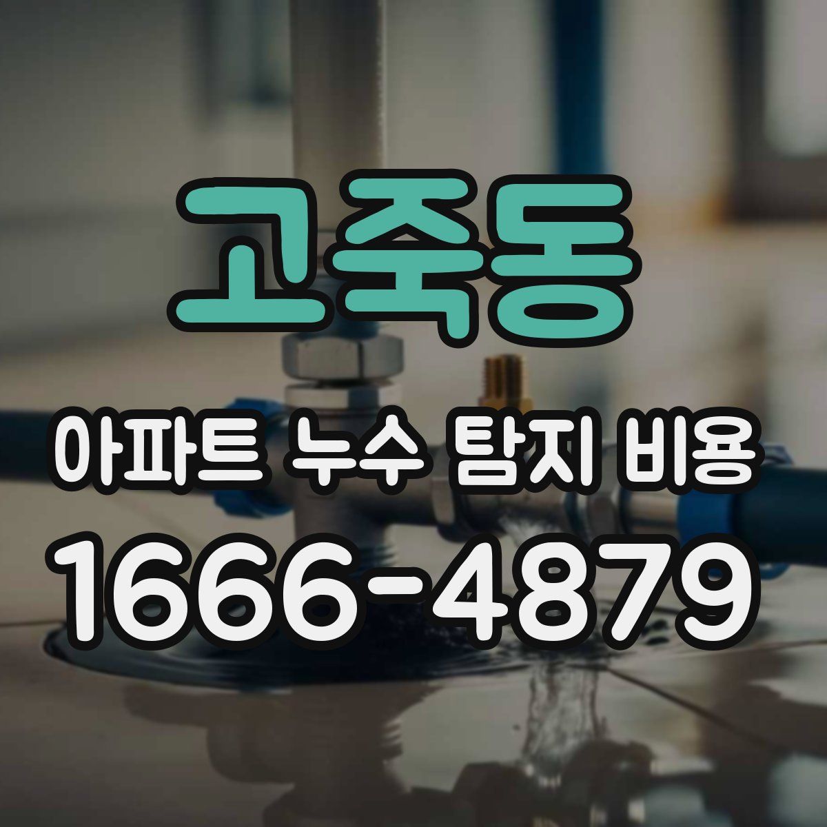 고죽동 아파트 누수 탐지 비용