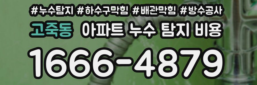고죽동 아파트 누수 탐지 비용