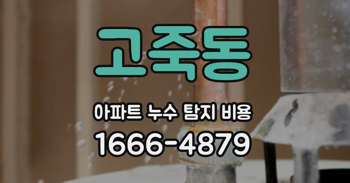 고죽동 아파트 누수 탐지 비용