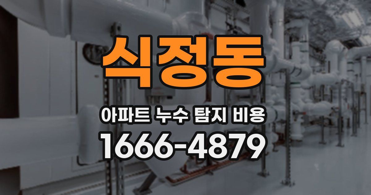 식정동 아파트 누수 탐지 비용