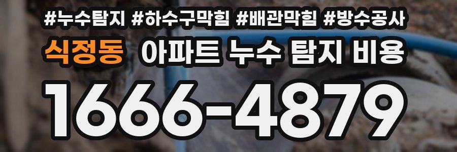 식정동 아파트 누수 탐지 비용