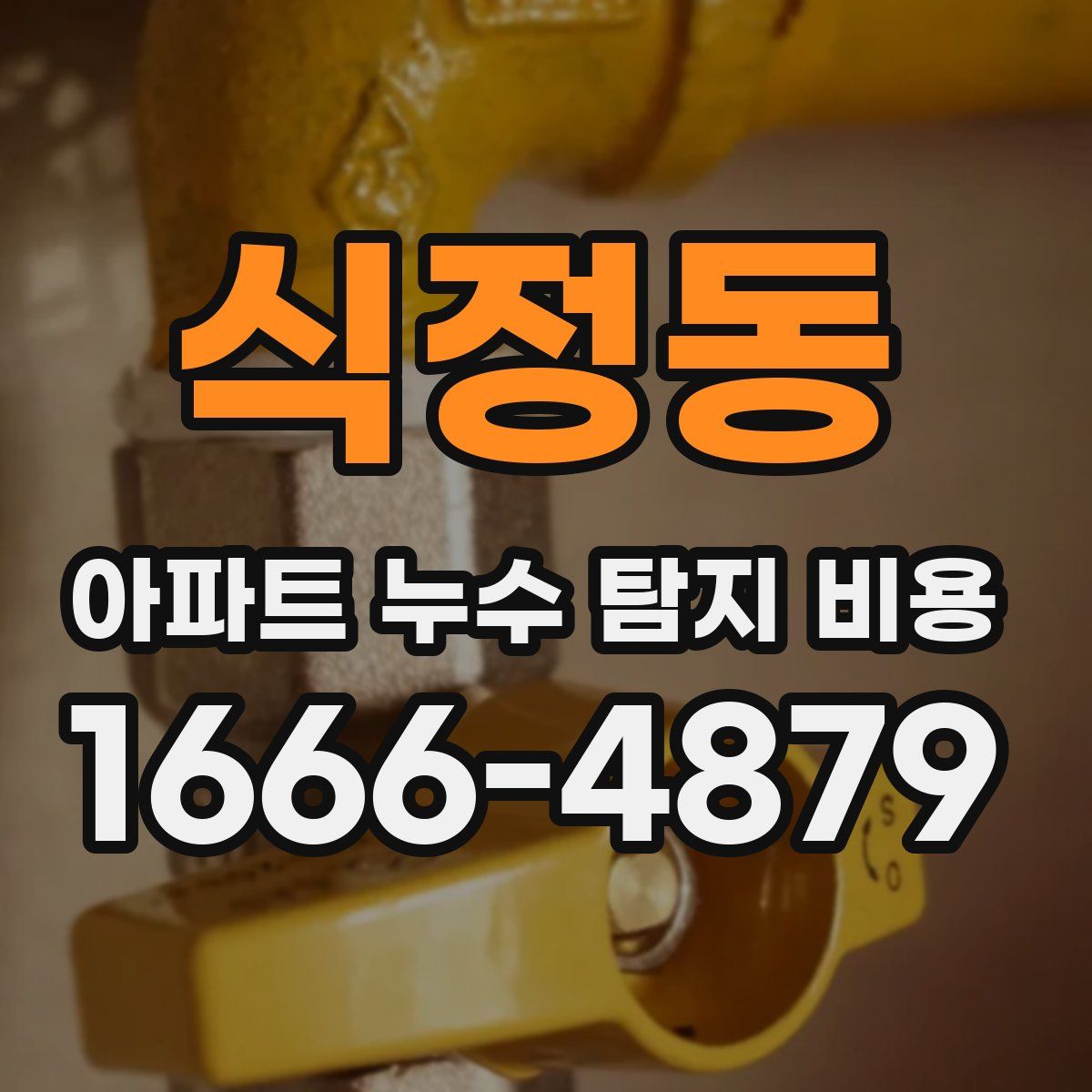 식정동 아파트 누수 탐지 비용