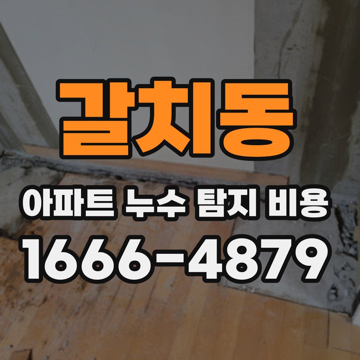 갈치동 아파트 누수 탐지 비용